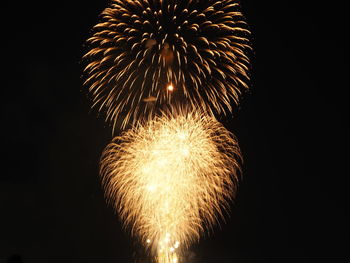 Low angle view of firework display at night