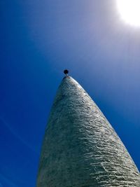 Low angle view of bird against clear sky