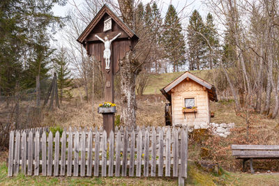 House on field by trees in forest