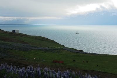 Scenic view of sea against sky