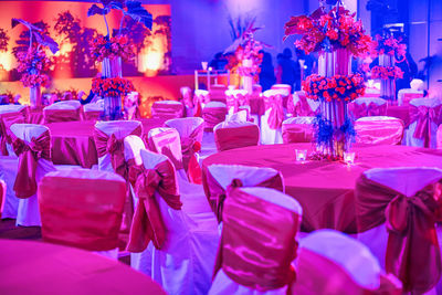 Close-up of potted plants on table in restaurant