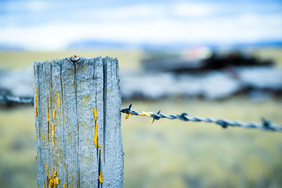 Close-up of lizard on fence against sky