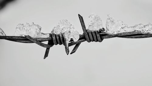 Low angle view of wind against white background