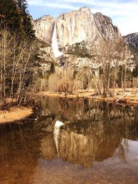 Reflection of trees in water