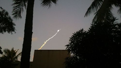 Silhouette of palm tree against sky at night