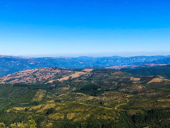 Scenic view of landscape against clear blue sky