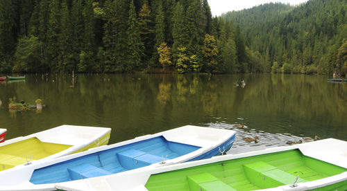 Scenic view of lake by trees