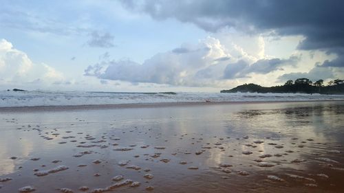 Scenic view of sea against sky