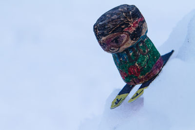 High angle view of a bird on snow