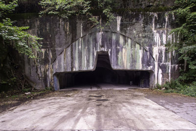 View of old ruin amidst trees in forest