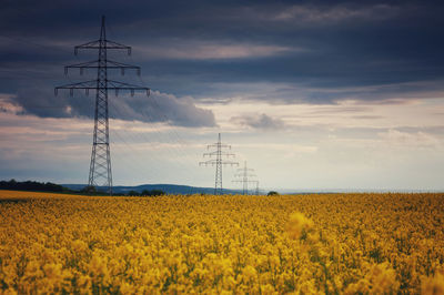 Scenic view of oilseed rape field against sky