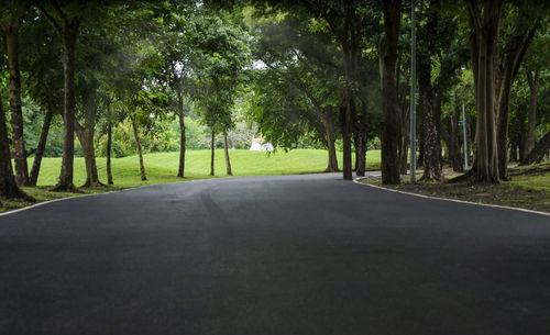 Road amidst trees in forest