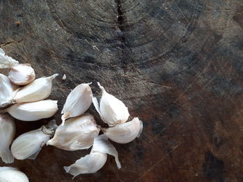 High angle view of garlic on table