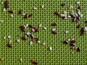 High angle view of sesame seeds on a textured green background