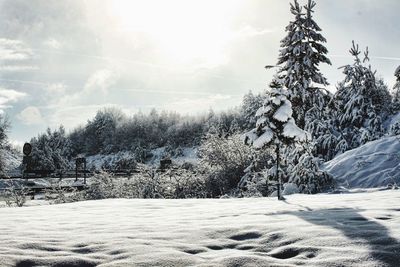 Scenic view of snow covered landscape