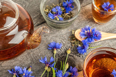 High angle view of flowering plants on table