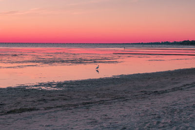 Scenic view of beach during sunset