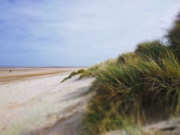 Surface level of beach against sky