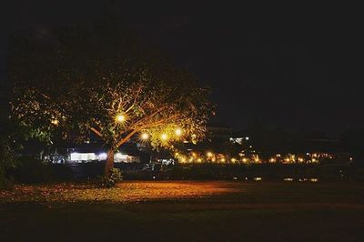 Firework display at night