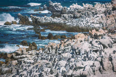 Scenic view of sea during winter