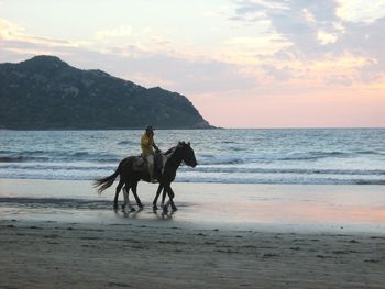 Man riding horse on beach against sunset sky