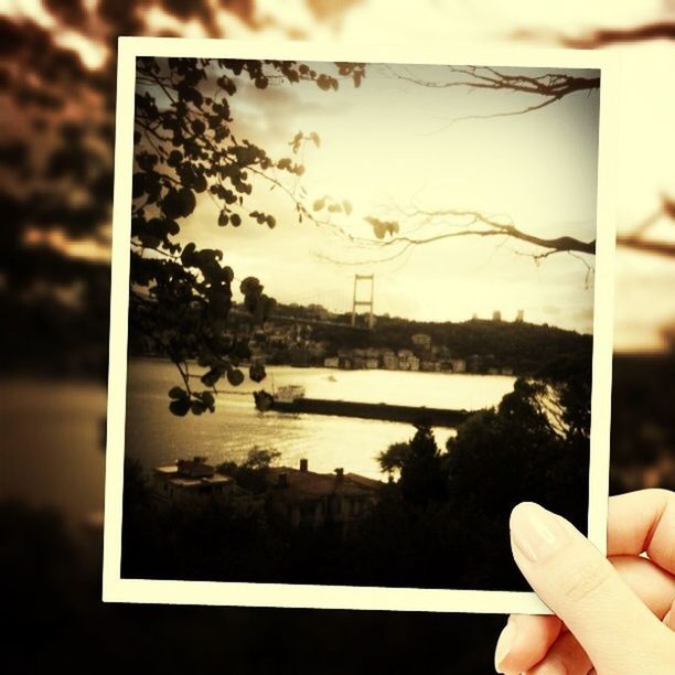 person, part of, cropped, tree, water, sky, transportation, holding, river, focus on foreground, lake, day, reflection, transparent, unrecognizable person, indoors