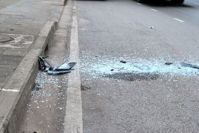 High angle view of bird on wet road