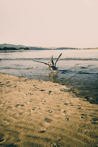 Scenic view of sea against clear sky