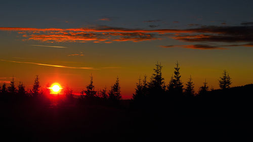 Silhouette trees against sky during sunset