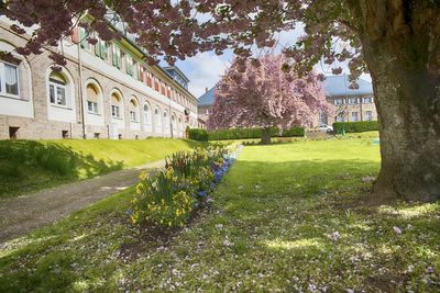 Trees and plants in front of building