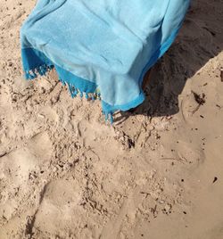 Low section of man on sand at beach