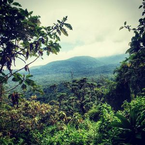 Scenic view of mountains against cloudy sky