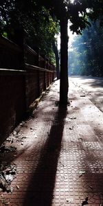 Shadow of trees on footpath