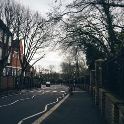 Buildings along bare trees