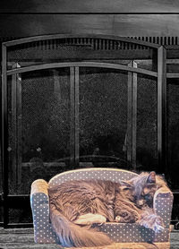 View of a cat resting on chair