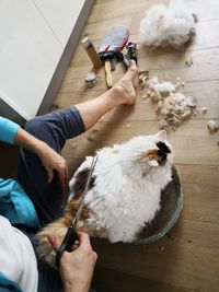 Low section of woman cutting cat hair on hardwood floor at home