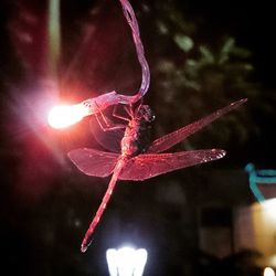 Close-up of blurred lights at night