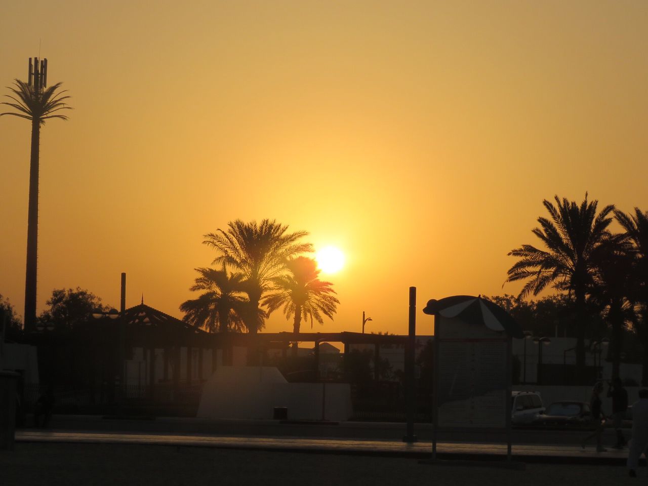 palm tree, sunset, tree, sun, palm frond, silhouette, clear sky, sky, built structure, sea, beach, building exterior, swimming pool, architecture, outdoors, beauty in nature, no people, nature, day