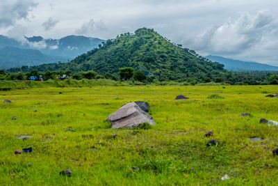 Scenic view of field against sky