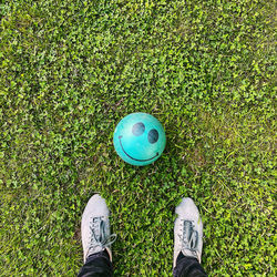 Low section of person standing on grass