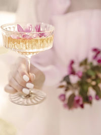 Champagne glass with pink petals of apple blossoms and a flowering branch on the background. drink