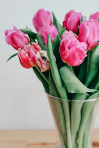 Close-up of pink roses