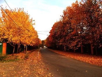 Road amidst trees against sky during autumn