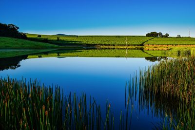 Calm lake along countryside landscape