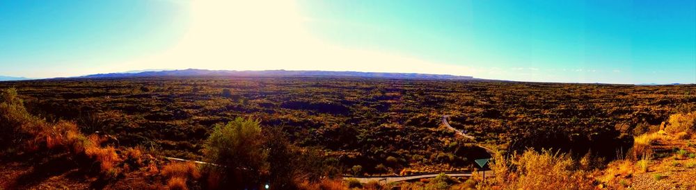 Scenic view of field against clear sky