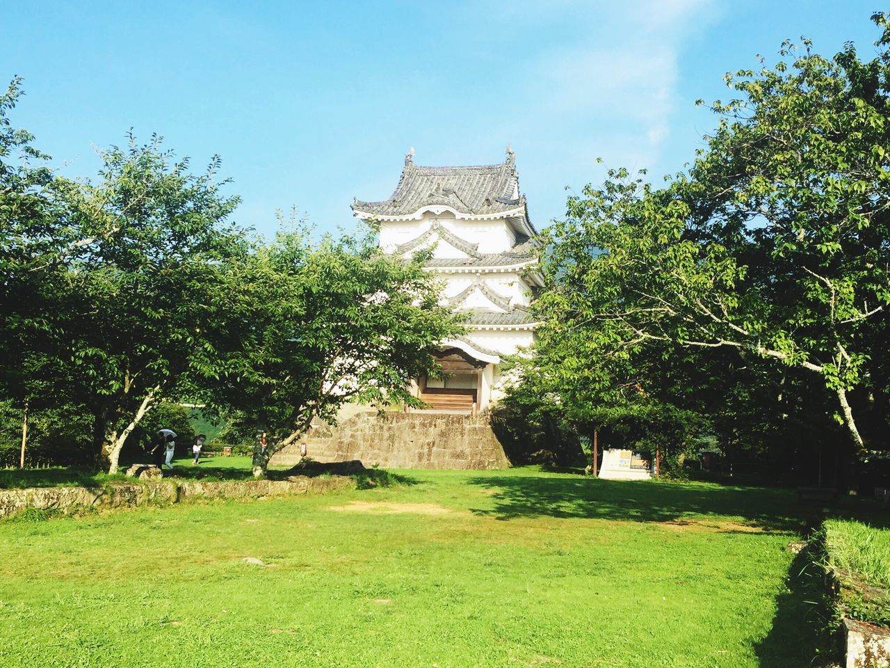 architecture, built structure, tree, grass, history, green color, famous place, sky, travel destinations, lawn, the past, tourism, ancient, growth, temple - building, day, plant, outdoors, no people, monument, temple, nature, grassy