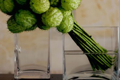 Close-up of potted plant