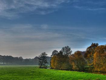 Trees on field against sky during autumn