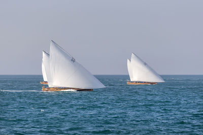 Sailboat sailing on sea against clear sky