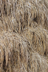 Full frame shot of hay bales on field